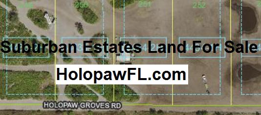 Suburban Estates Holopaw Florida Recreational Land For Sale